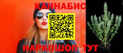 ECSTASY Донской
