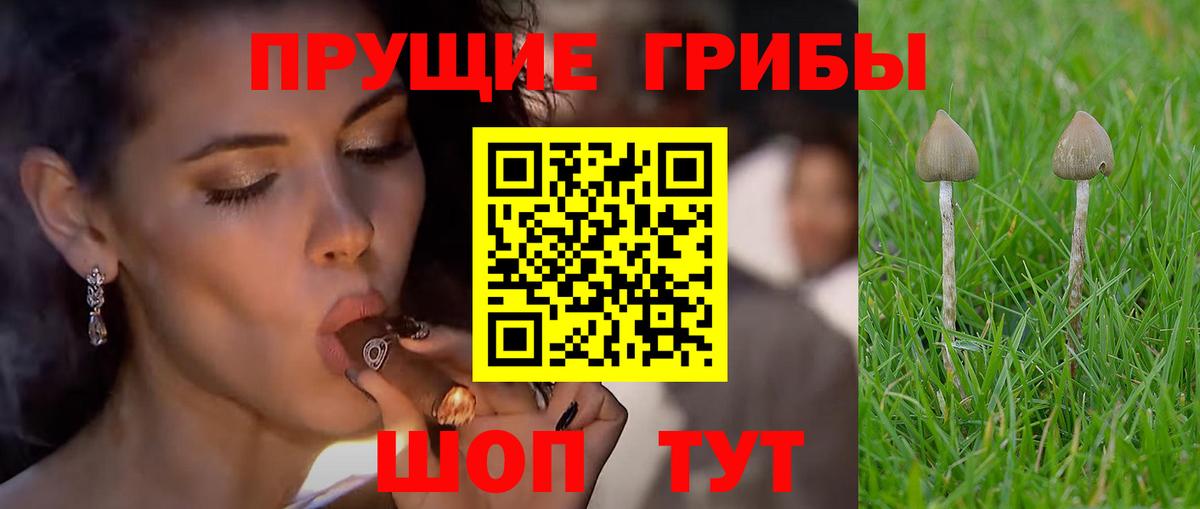Псилоцибиновые грибы мухоморы  Псилоцибиновые грибы мухоморы  Москва  Вход с VPN 